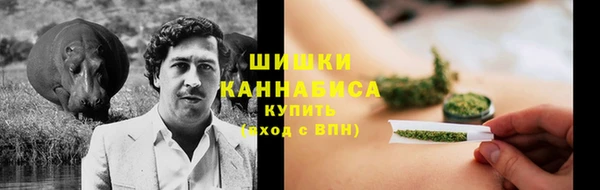 PSILOCYBIN Богородск
