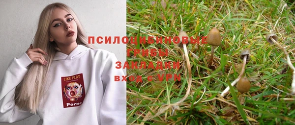 МДМА Богородицк