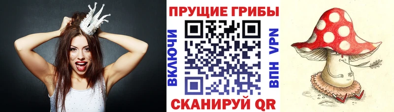Псилоцибиновые грибы ЛСД Крым